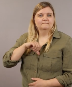 Polisyrkeshögskolan